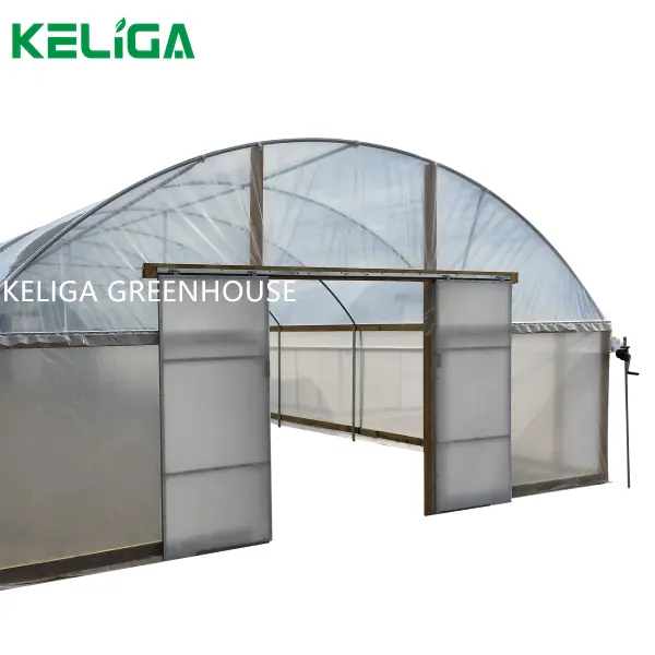 Agricultural Tunnel Plastic Greenhouse Commercial Light Deprivation Vegetable Cultivation Greenhouse Cover Material