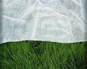 Cubierta para Suelos Agrícolas y de Jardín, Protección de Frutas, Tela No Tejida Spunbond de Polipropileno 100% - Product Image 2