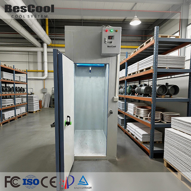 BesCool Eco-Friendly Container Condensing Unit Panel Cold Room for Kitchen R134a Refrigerant Strict Temperature Control