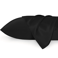Taie d'oreiller en Satin de refroidissement populaire, pour les cheveux et la peau, taie d'oreiller en soie de taille Queen, ensemble cadeau, vente en gros