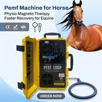 Appareil de thérapie PEMF multifonctionnel haut de gamme pour la guérison musculaire et la réparation osseuse chez l'homme et chez le cheval