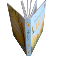 Livre de contes de bandes dessinées anglaises pour enfants, haute qualité, impression de livre à couverture rigide, personnalisé en couleur