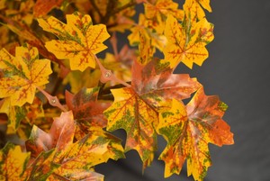 Indoor Outdoor IP65 Rated <strong>LED</strong> <strong>Tree</strong> for Holiday Party Garden Ramadan Decorations - Product Image 5