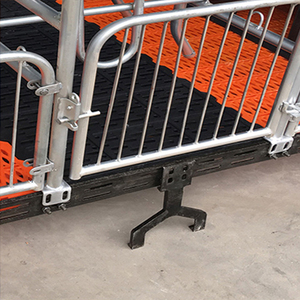 Incubadora para Granjas Porcinas <span class=keywords><strong>de</strong></span> Fácil Instalación a Precio <span class=keywords><strong>de</strong></span> Mayoreo, Cama <span class=keywords><strong>de</strong></span> Gestación para Cerdas, Jaulas Galvanizadas para Parideras - Product Image 4