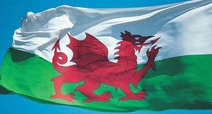 Techniques d'impression numérique <span class=keywords><strong>de</strong></span> décoration <span class=keywords><strong>de</strong></span> drapeau <span class=keywords><strong>de</strong></span> table <span class=keywords><strong>de</strong></span> mini bureau du <span class=keywords><strong>pays</strong></span> <span class=keywords><strong>de</strong></span> <span class=keywords><strong>Galles</strong></span> personnalisable en gros 14*21cm - Product Image 3