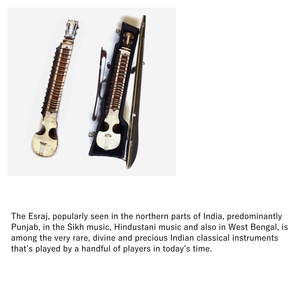 Jelo buổi hòa nhạc chuyên nghiệp chất lượng esraj handmade nhạc cụ tuyệt vời Phụ kiện cho những người đam mê âm nhạc - Product Image 4