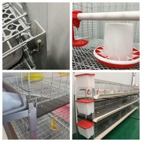 Cage à poulets de chair galvanisée épaissie, équipement d'élevage de poussins, cage à poussins à 4 niveaux à vendre