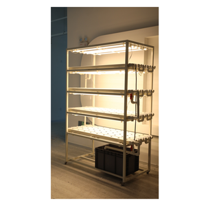 Recommend Multilevel Plant <b>Racks</b> Hydroponic Vertical System for Indoor Factory Farm Growing Vegetables Vertical Grow <b>Rack</b> System - Product Image 1
