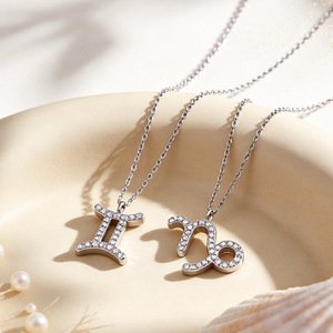Collar <span class=keywords><strong>de</strong></span> Acero Inoxidable <span class=keywords><strong>de</strong></span> Lujo con los 12 Signos del Zodiaco, Collar Clásico con Colgante <span class=keywords><strong>de</strong></span> Plata y Circonita para Mujer, Regalos <span class=keywords><strong>de</strong></span> Joyería - Product Image 3