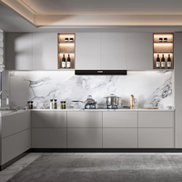 Meubles de cuisine modernes modulaires Lesso Home en HPL et verre, ignifuges, écologiques, gris, avec évier, robinet, charnières et accessoires pour appartements