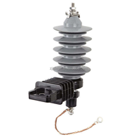 Parafoudre en caoutchouc silicone polymère à oxyde de zinc Shuangfeng pour applications de protection contre la foudre basse tension 9-33 kV
