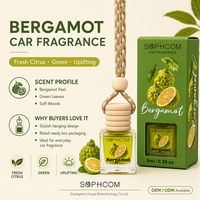 Parfum de voiture 8ml, flacon en verre suspendu avec bouchon en bois, diffuseur d'huiles essentielles, désodorisant longue durée, parfum naturel, cadeau pour