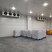 Koelcel voor fruit en groenten, grote uitvoering, walk-in vriezer