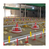 Nouvel équipement avicole MT MT-F : Système d'alimentation automatique pour volailles (poulets, canards) et gestion des lignes au sol