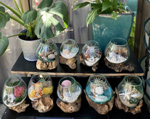 Hand geblasenes Angel Aura Crystal Air Plant <span class=keywords><strong>Terrarium</strong></span> für Strand dekor mit türkis farbenem <span class=keywords><strong>Sand</strong></span> hängen oder auf dem Boden anzeigen - Product Image 6