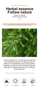 Aceite esencial Aroma Aceite esencial de aromaterapia Juego de 100% aceites esenciales florales puros para difusores para el hogar - Product Image 5