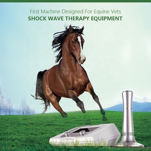 Appareil de thérapie par ondes douces pour les membres avant et arrière, soins des chevaux, hôpital, centre de réadaptation - Product Image 1