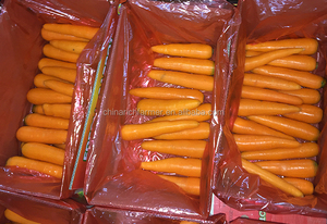 Carottes fraîches, livrées directement <span class=keywords><strong>via</strong></span> la chaîne du froid, conservant les nutriments et une texture croustillante, disponibles en gros et au détail. - Product Image 6