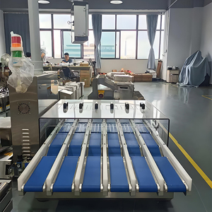 Báscula Digital, Equipo de Pesaje Móvil para Línea de Ensamblaje, Detector de Peso para Clasificación de Productos - Product Image 3