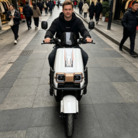 Moto électrique à grande vitesse 2000W 72V 85 km/h, moto électrique pour trajets en ville, scooter électrique, moto électrique à longue portée 100 km