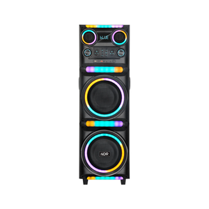 NDR-M1104 Enceinte de fête professionnelle en bois double 10 pouces pour DJ extérieur, karaoké, subwoofer à basses profondes avec micro sans fil - Product Image 6