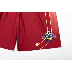 Premium-Qualitäts produkte Benutzer definiertes Muster Gedruckte Mode Jogging hose Herren Sport hemd Tragen Sie Fußballs horts - Product Image 5