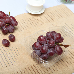 Z43 clear Plastic Salad Container Wholesale Pet Bowl for Fruit and Vegetable Noodle <strong>Tray</strong> with <strong>Fixed</strong> Lid - Product Image 5