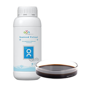 有機肥料液体海藻エキスサプリメントSargassum Ascokhyllum Nodosum天然海藻粉末 - Product Image 4