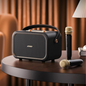Enceinte sans fil rétro 40W avec 2 micros, système de karaoké portable en bois, autonomie de 20h, audio pour fêtes à domicile, basses profondes, vente en gros - Product Image 1