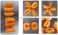 Shouchuang Commerciële Fruitputmachine Olijfbak Extractiemachine Kersen Pitter Put Verwijderingsmachine