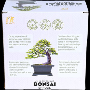 <span class=keywords><strong>Kit</strong></span> completo de <span class=keywords><strong>cultivo</strong></span> de bonsái de abeto de diseño moderno - Product Image 4