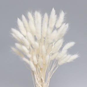 Ramo <span class=keywords><strong>de</strong></span> <span class=keywords><strong>Flores</strong></span> <span class=keywords><strong>Secas</strong></span> <span class=keywords><strong>de</strong></span> Cola <span class=keywords><strong>de</strong></span> Conejo, <span class=keywords><strong>Flores</strong></span> Preservadas Reales, Profesional, Gran Venta - Product Image 3