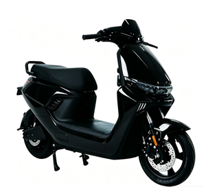 Approvisionnement direct des usines chinoises : Moto électrique N9 1000W 60V 20AH avec moteur brushless à moyeu arrière à couple élevé pour E - Product Image 1