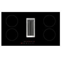 OEM avec table de cuisson électrique Flex Zone avec plaque à induction à ventilation descendante avec hotte aspirante intégrée