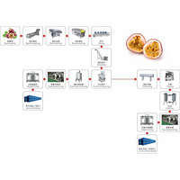 Hoge Kwaliteit Passie Fruit Verwerking Lijn Passievrucht Pulp Sap Productie Plant