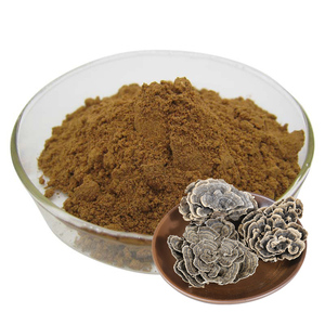 100% 최고 품질의 10:1 다당류 차가 버섯 추출물 분말 - Product Image 1