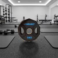 Disques de musculation commerciaux à dix côtés Langmai en fonte, plaqués caoutchouc, pour centres de fitness et entraînement de force