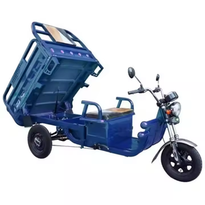 Triciclo elettrico a 3 ruote per moto da carico per granella e camion per gelati elettrico per camion Drumper Cargo componente del motore - Product Image 1