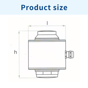 DINI ARGEO RL5426 Cellule de pesage pour conteneur de type RICE LAKE 20t/30t/40t/50t - Product Image 3