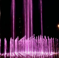 Fontaine musicale intelligente professionnelle en acier inoxydable avec lumières LED multicolores, fontaine musicale matricielle
