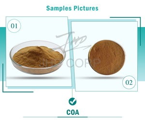 JHD Chaste Tree Berry Series Extrait Agnuside 0.50% HPLC Poudre Suppléments De Qualité Alimentaire - Product Image 2