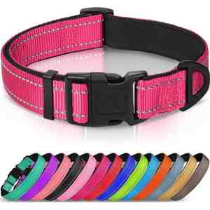 Collar de Lujo para Perros Grandes Joytale, Acolchado de Neopreno Suave, Anillo en D de Metal, Ajustable, Reflectante, Color Rosa Intenso, Talla L, para Todas las Etapas de la Vida - Product Image 1