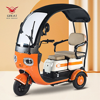 Tricycle domestique 800W, petit scooter à trois places, tricycle réglable pour 3 personnes