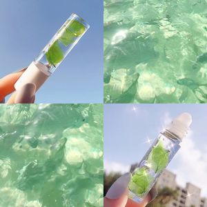 Brillant à lèvres Transparent Sexy pour femmes, étiquette privée, maquillage <span class=keywords><strong>baume</strong></span> à lèvres, liquide coloré, ml - Product Image 4