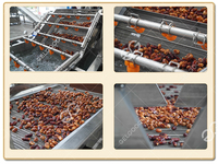 Track Type Data Sorteren Sortering Machine / Palm Rode Datum Sortering Productielijn Walnoot Sorteermachine