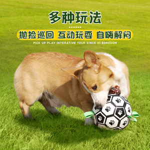 Ballon de football pour dressage de chiens, taille S M, jouet durable pour animaux de compagnie, pour Golden Retriever, Labrador, Corgi, Border Collie, jeu en plein air - Product Image 4