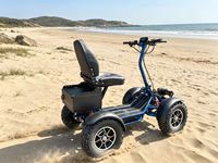 LEODOO Nouveau Buggy Tout-Terrain Électrique 4x4 pour Adultes, Pliable, Type Voiturette de Golf, Autonomie 80 km, Vitesse 50-70 km/h