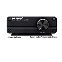 100W Mono Subwoofer merkezi amplifikatör küçük tam kapsamlı Amplificador AV ev sineması Mini ses ekipmanı amplifikatörler hoparlör