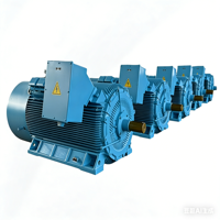 Moteur à fréquence variable 3kV/6kV/10kV, 185kW-3150kW, triphasé, asynchrone, courant alternatif