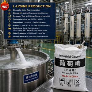 Glucose industriel, dextrose monohydraté, arsenic 0,5 ppm max, haute pureté, qualité alimentaire - Product Image 6
